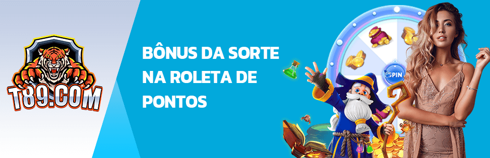 novo jogo do gato slot